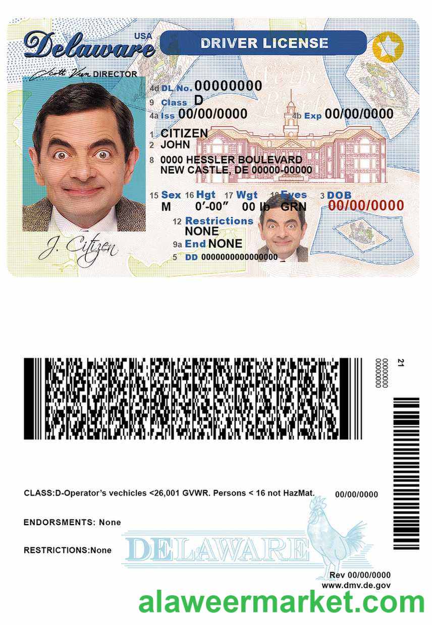 USA Delaware driver license